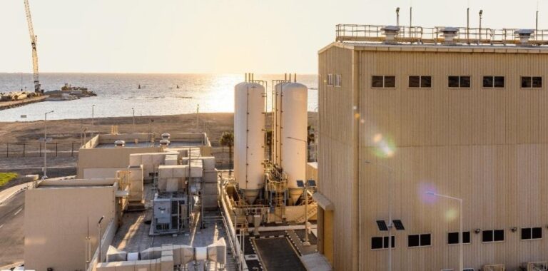 83073947 cb9b 41bf 88a0 8dae254fa0ae file.jpg