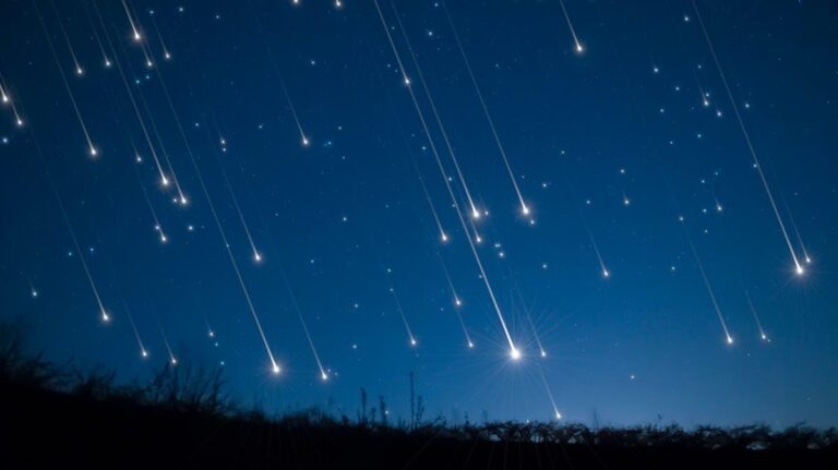 85f703db 596c 4f64 9cfb 50e0ec27726c file.jpg