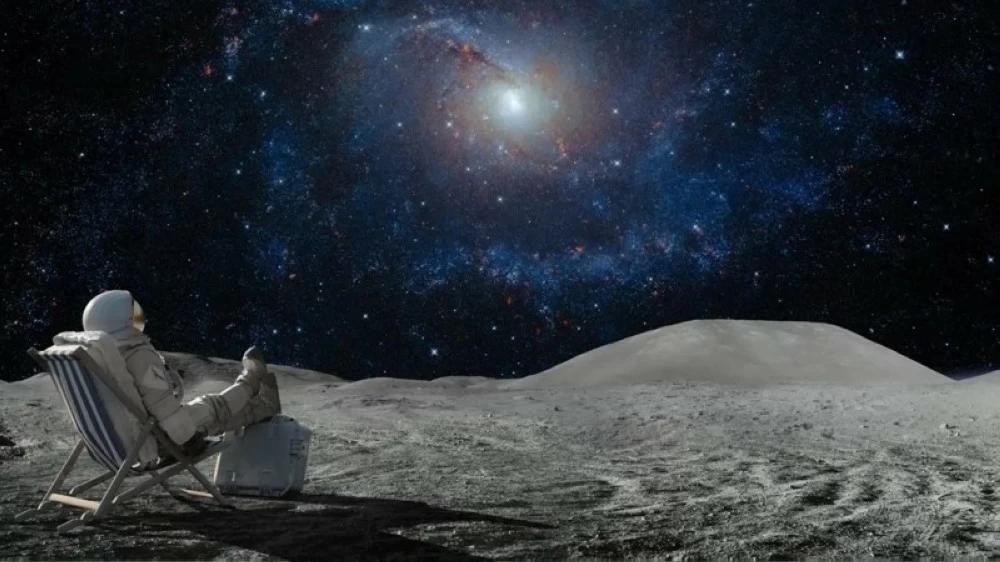 86458588 c7b9 4a6e 9f93 f56a97e28047 file.jpg