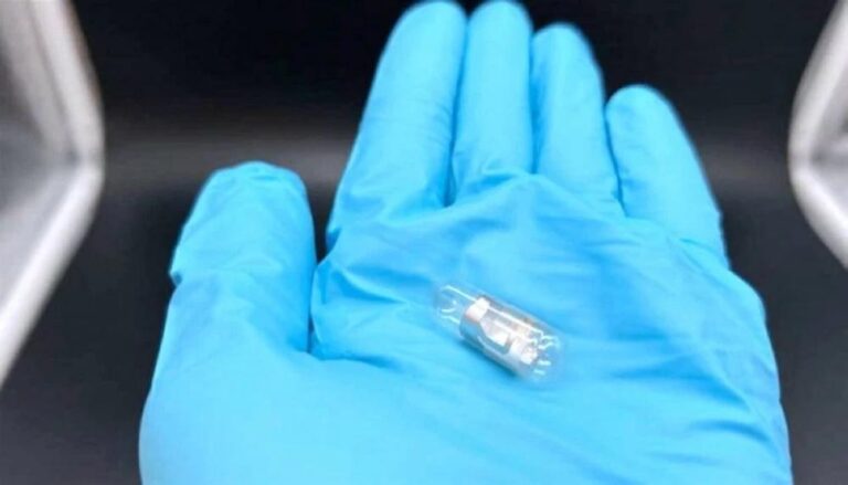 8875ef67 a280 4d11 8602 7189949b2d5e file.jpg