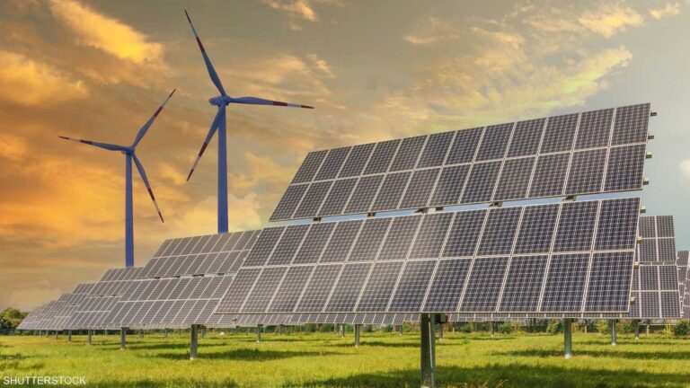 8dd12a1a 5e46 404d a281 bb18334e991e file.jpeg