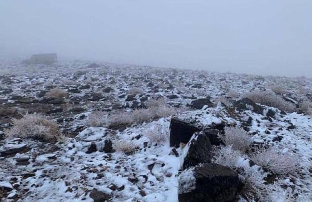 8e9f7acb 1e8b 4f42 b60e a08ef84b6da6 file.jpg