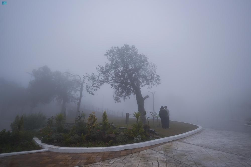 9421bdb9 7d4c 4c33 b57e 90a40d2ff7d5 file.jpg