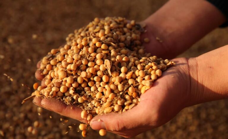 98516bdd e152 4a85 b2e6 852c3123b1e4 file.jpg