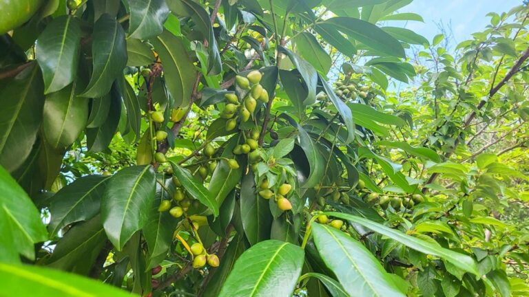 9ada5b19 d639 4e06 972c 662f68fc82d2 file.jpg