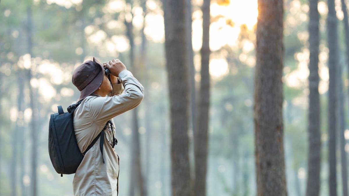 9cbe5e66 2092 4a7f b929 c57d712fd832 file.jpg