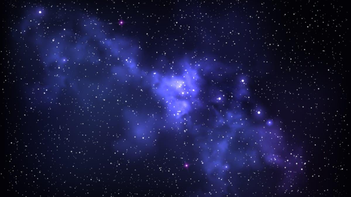 9dcf88ec 170e 4b7d a45d 7bc381cbb62e file.jpg