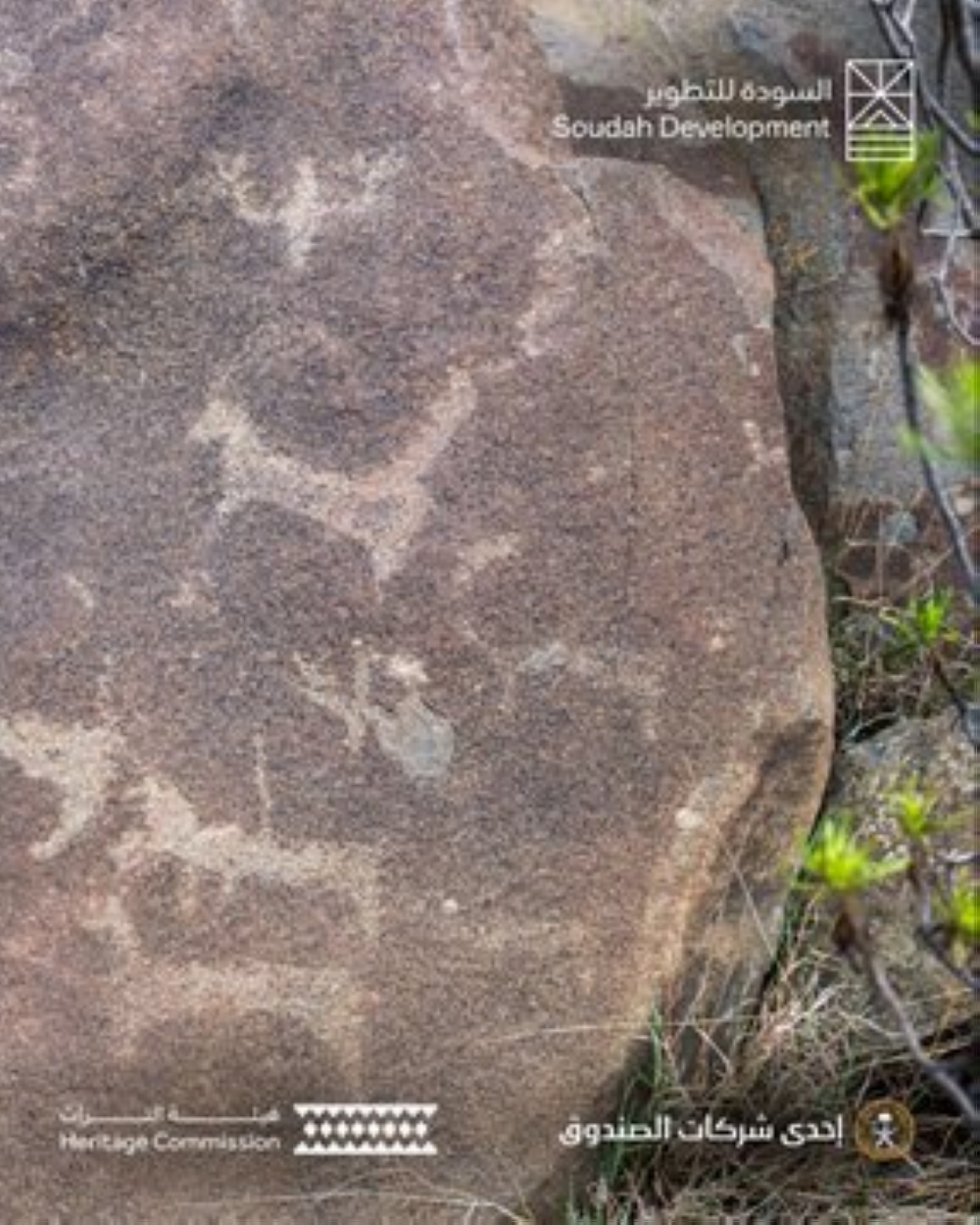 اكتشاف 20 صخرة تحمل نقوشًا أثرية في مشروع “قمم السودة”