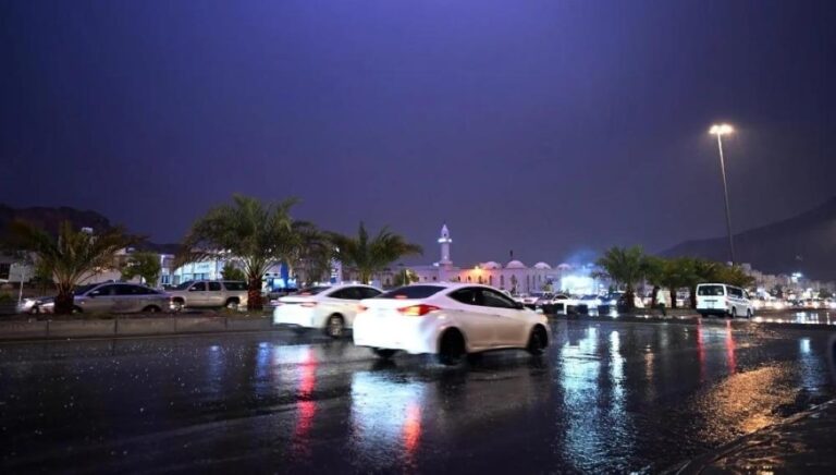 A3d87a16 8ba3 4b87 8bcc 95da42bef286 file.jpg