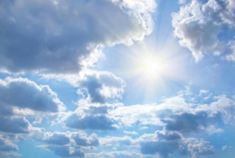 A3ec9ed8 9bd9 4393 b748 7cedaa0815b6 file.jpg