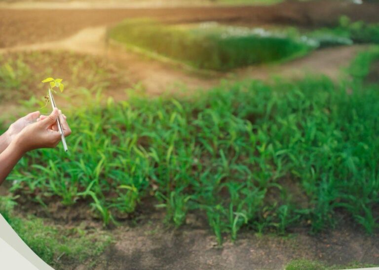 A6fbe5d5 c0f2 481c 9adb a5d8bdd8a25f file.jpg