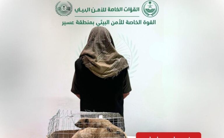 A8a71f0d f830 4a74 91c7 ef7d7dd04852 file.jpg