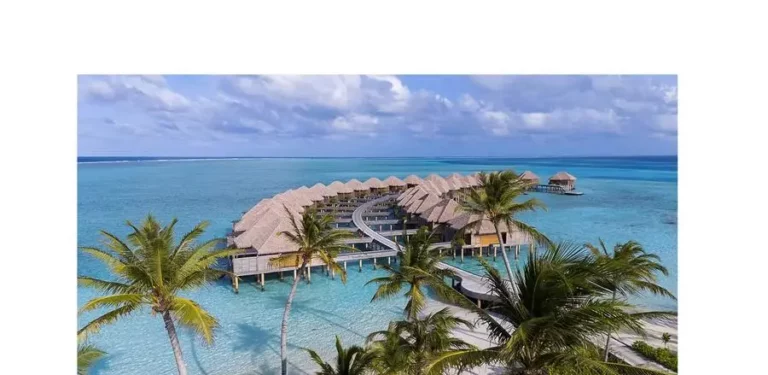 Aded420c 28c9 4af4 b341 9aeefa727d5d zawta.webp