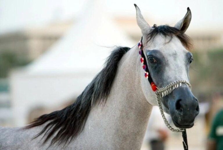 Ae8549c5 dcae 46bb b56e 97afbb84e651 file.jpg