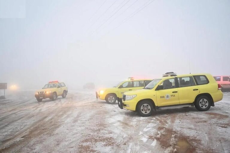 B01a133d 47b9 4e9d a216 ca38c5db04e4 file.jpg