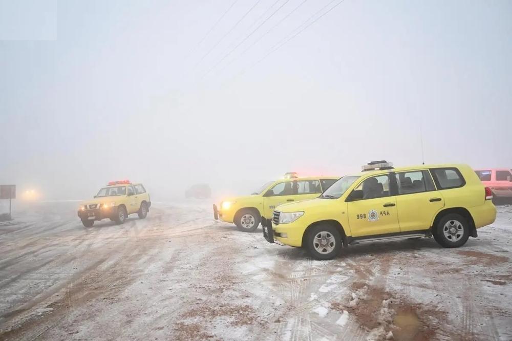 B01a133d 47b9 4e9d a216 ca38c5db04e4 file.jpg