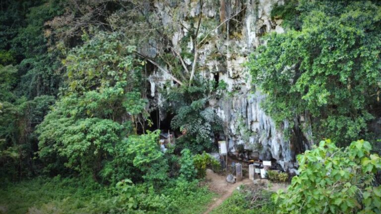 B26b1475 6fb9 4033 95b2 f407ef1e9916 file.jpg