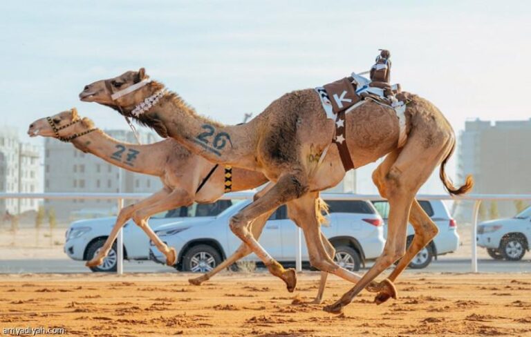 B4adb7a9 73c7 427f 9fb2 d527eed8edf8 file.jpg