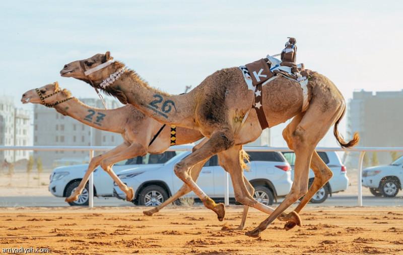 B4adb7a9 73c7 427f 9fb2 d527eed8edf8 file.jpg