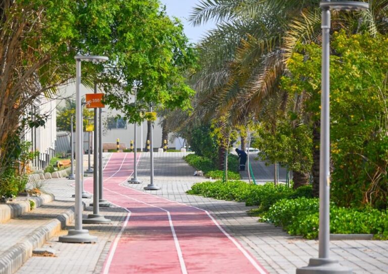 B6dfa22e c8eb 4864 85c5 7027ab3d342a file.jpg