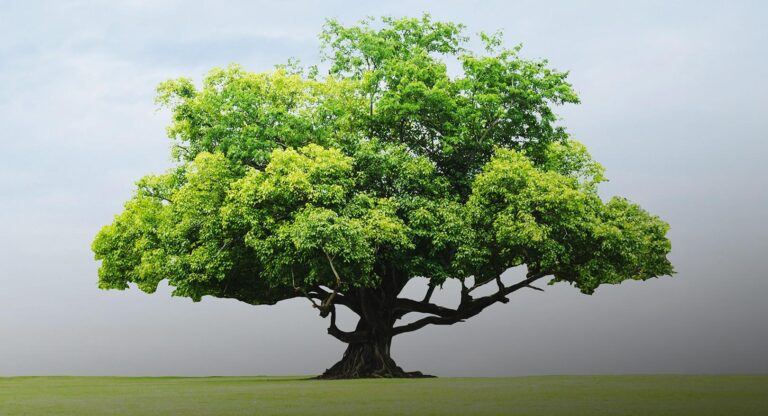 B9002478 a2c5 4800 9364 4f1cfaced210 file.jpg