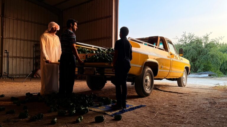 B92bed77 2e84 4db7 a98e c20c7fb590b3 file.jpeg