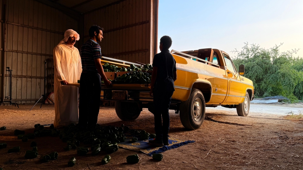 B92bed77 2e84 4db7 a98e c20c7fb590b3 file.jpeg