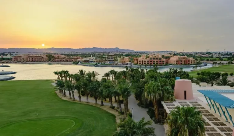 C0696e15 5f8e 4641 9f7c 41552f93c848 zawta.webp