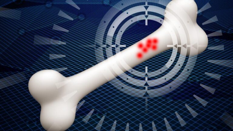 C26dda3e 6c11 4abb 9112 76694ed375b2 file.jpg