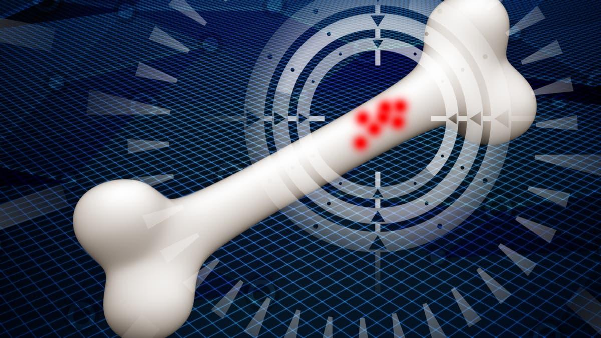 C26dda3e 6c11 4abb 9112 76694ed375b2 file.jpg