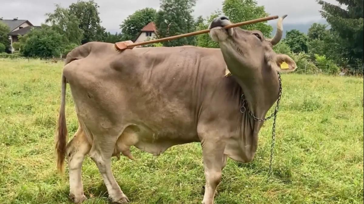 C4793401 5934 4a1a 8497 68f5bd048286 file.jpg