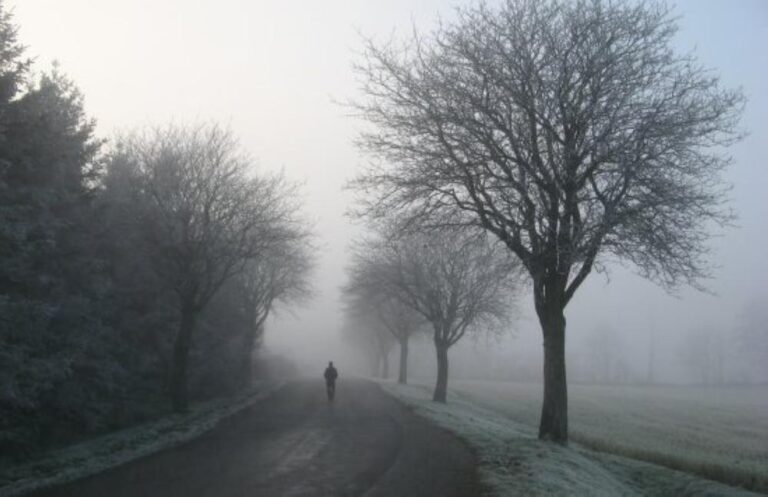 C50f5704 84e2 49a5 805f 4c5cd9fdfc28 file.jpg