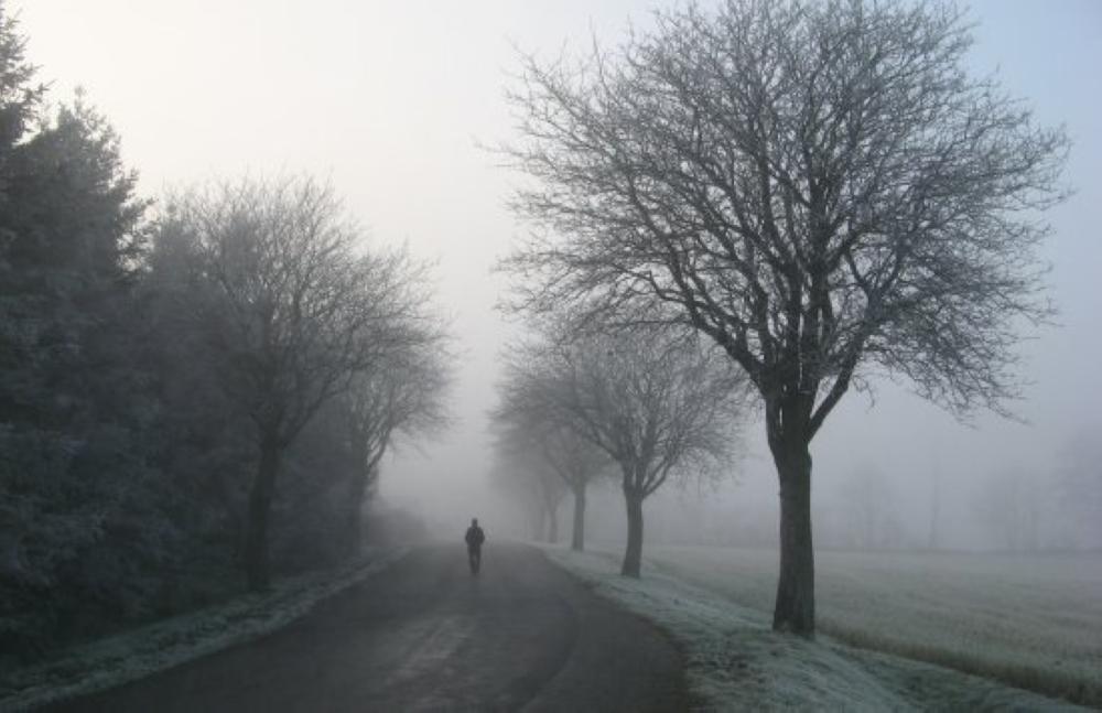 C50f5704 84e2 49a5 805f 4c5cd9fdfc28 file.jpg