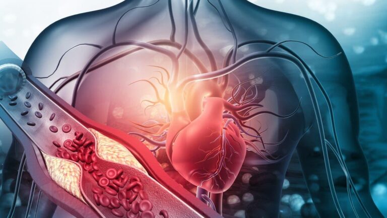 C5ab478c 777a 417c ac9c cea9c8776926 file.jpg