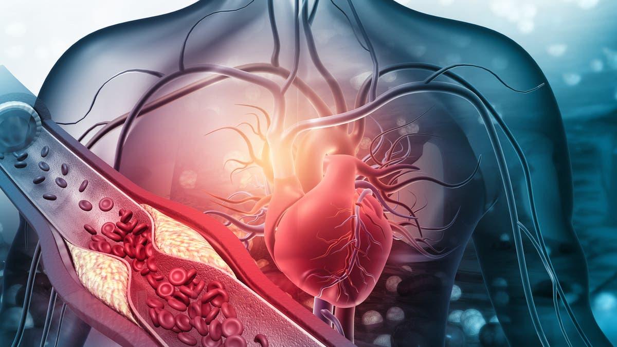 C5ab478c 777a 417c ac9c cea9c8776926 file.jpg