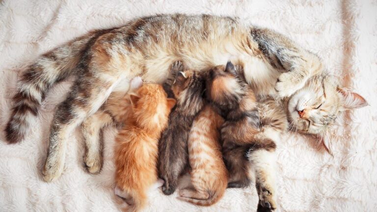 C8266b02 ded8 40bd a810 99c9a394b824 file.jpg