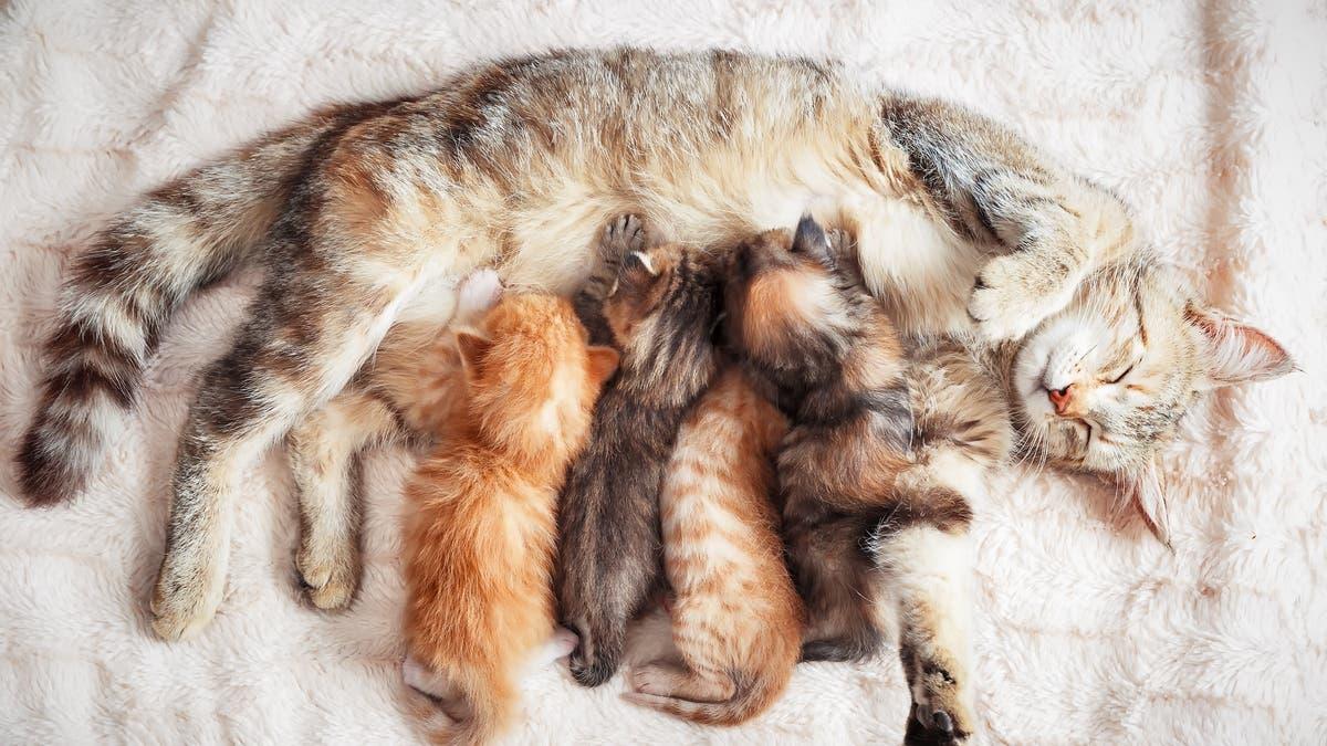 C8266b02 ded8 40bd a810 99c9a394b824 file.jpg