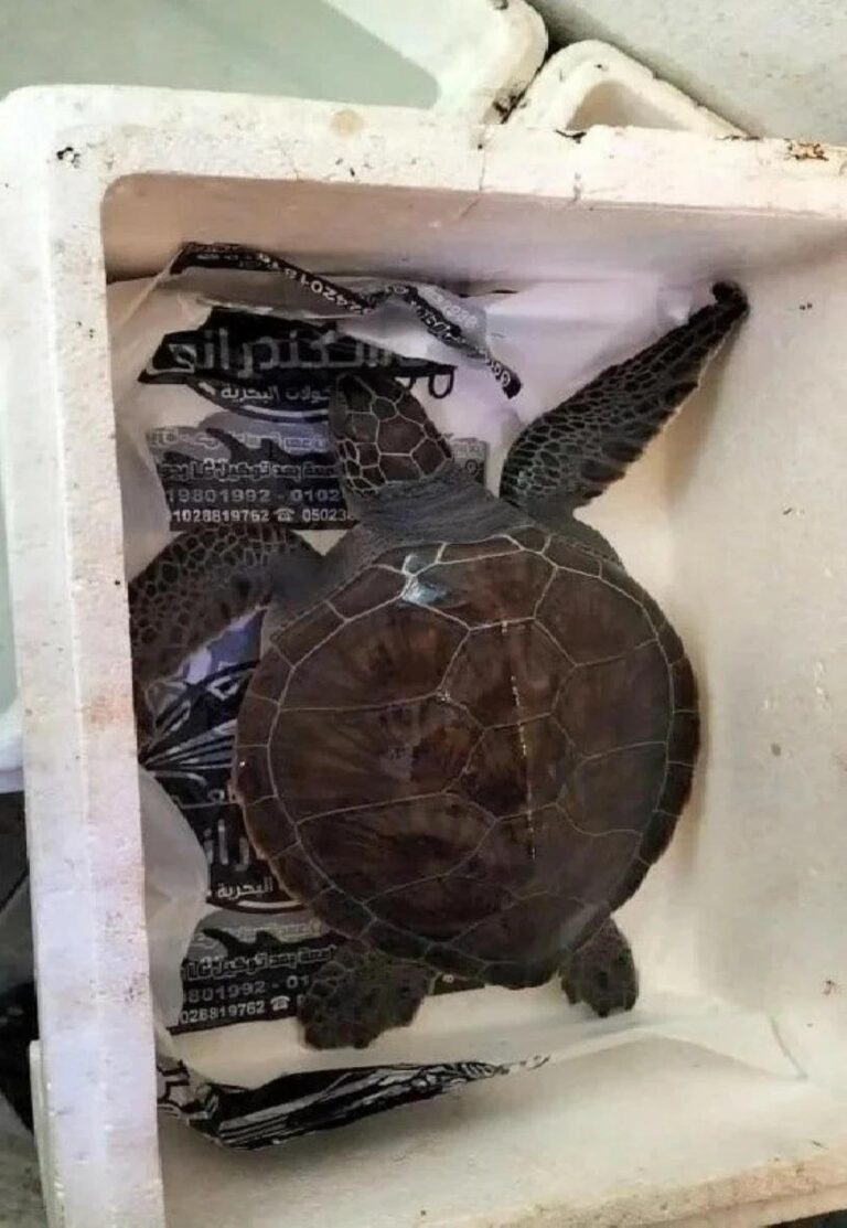 Cba30e70 c07e 4b8e a7ff 5b9ad5431de9 file.jpg