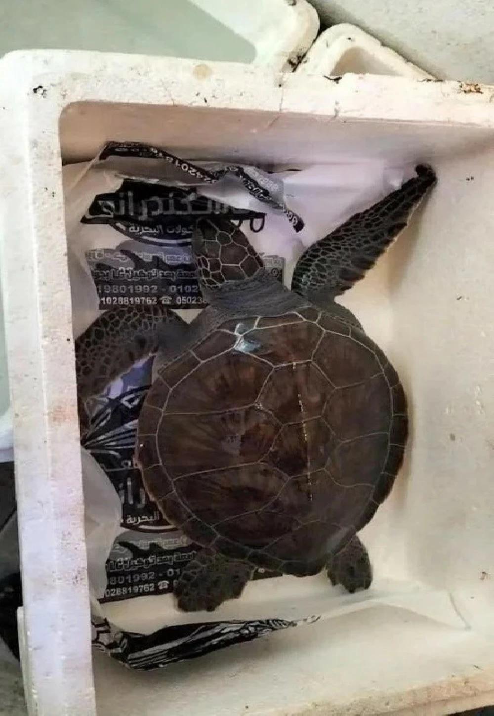 Cba30e70 c07e 4b8e a7ff 5b9ad5431de9 file.jpg