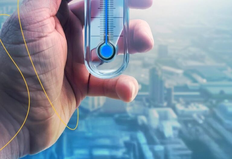 Cd78d477 9a2e 4743 9b7e 691064724e1f file.jpg