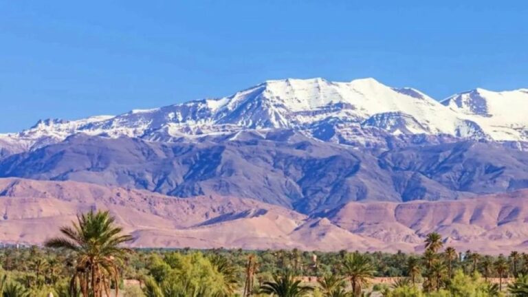 Ced8ee0d c857 4fad ab08 714deeba3bdb file.jpg