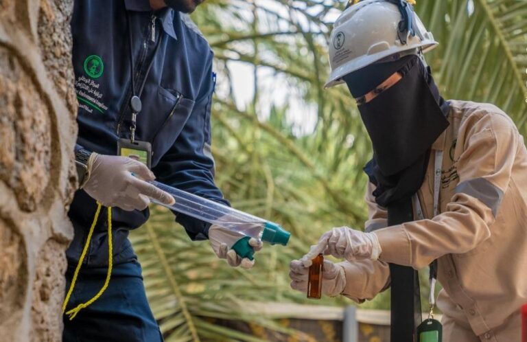 Cfce4164 ebf2 427c 8351 9a9824e67a57 file.jpg