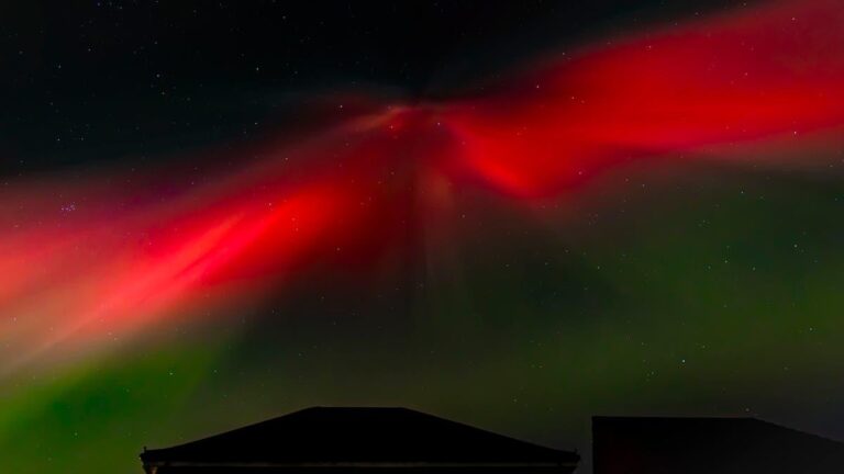 D21b3eed b674 4315 ae8d 2b092aef39c7 file.jpg