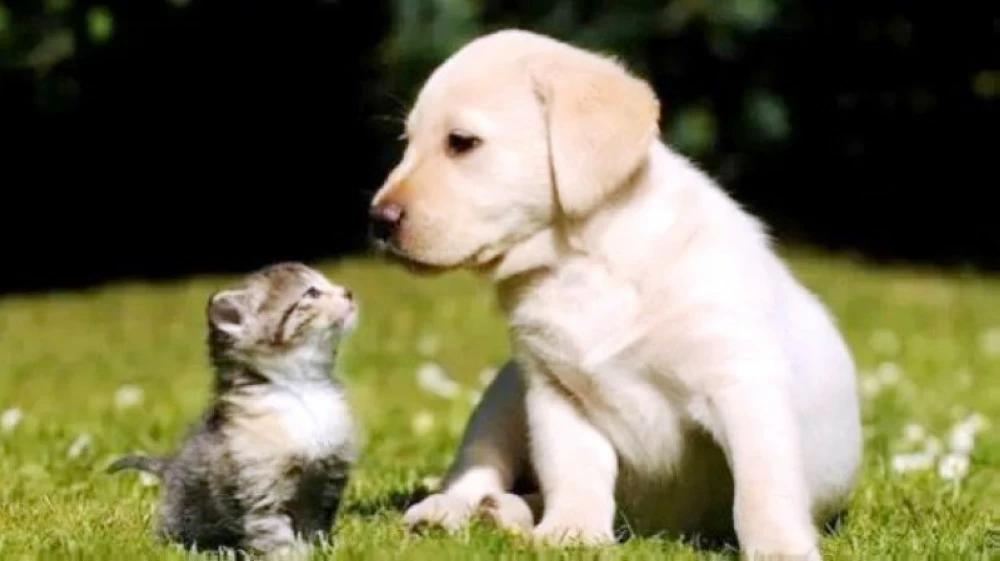 D34414a9 82d2 4bf6 bf95 98d48f527294 file.jpg