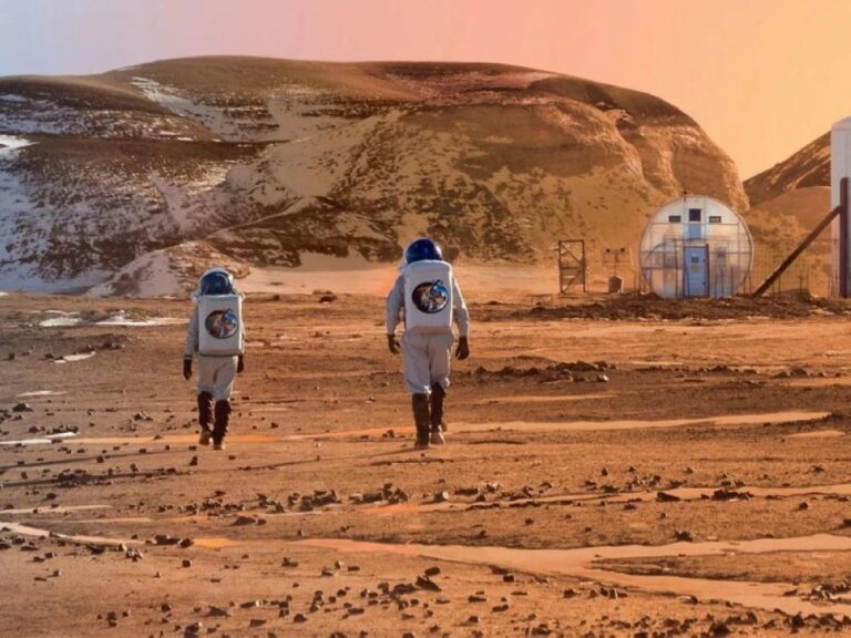 D5ec1b84 3d99 4cf3 ad82 c629d051e62a file.jpg