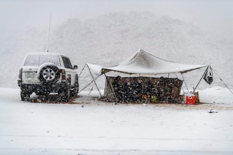 D6ef75ed 8c57 49e9 913d 7b8f9a0d1ca1 file.jpg