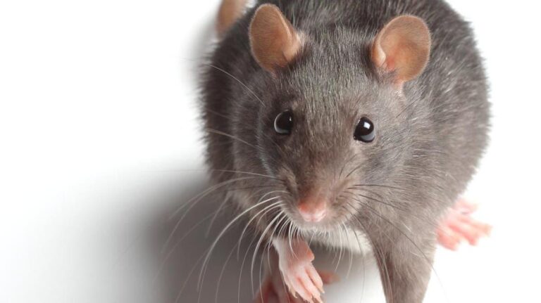 D9dd37ca f9a4 4d38 9631 7034e9afb70d file.jpg