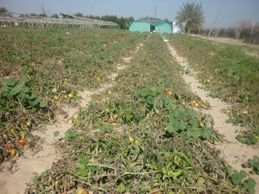 Da8a1f13 75b1 42b9 abd7 eb441d506d54 file.jpg