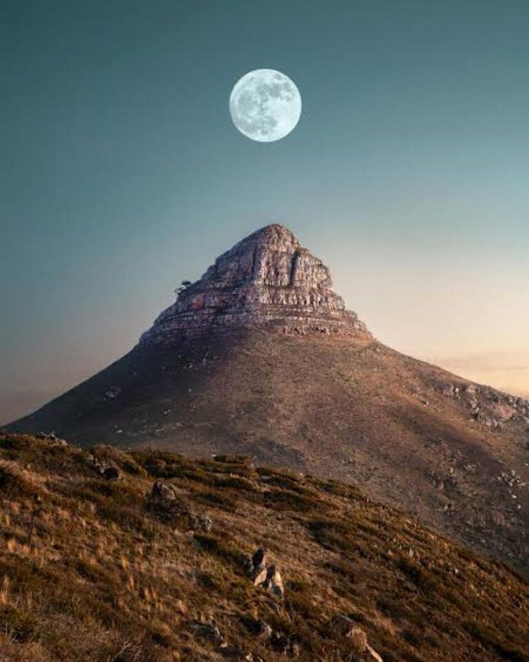 Db535c24 d02d 4e1a b161 4766aea28ab7 file.jpg