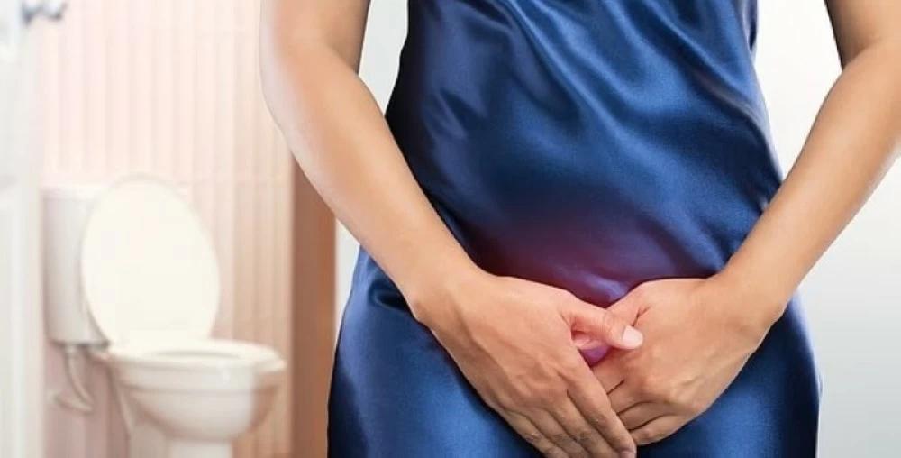 De844827 ecaa 450e 90f4 f441fa62bdeb file.jpg